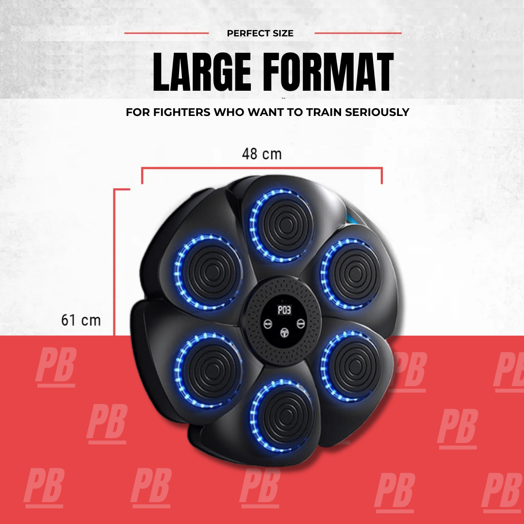 PunchBoxer - Music Boxing Machine