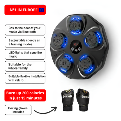 PunchBoxer - Music Boxing Machine